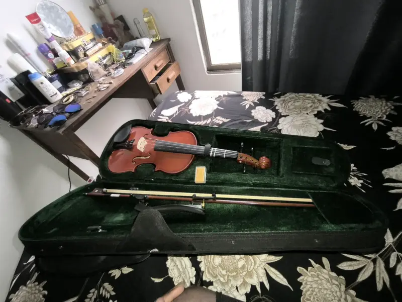 Violín con estuche verde - 2