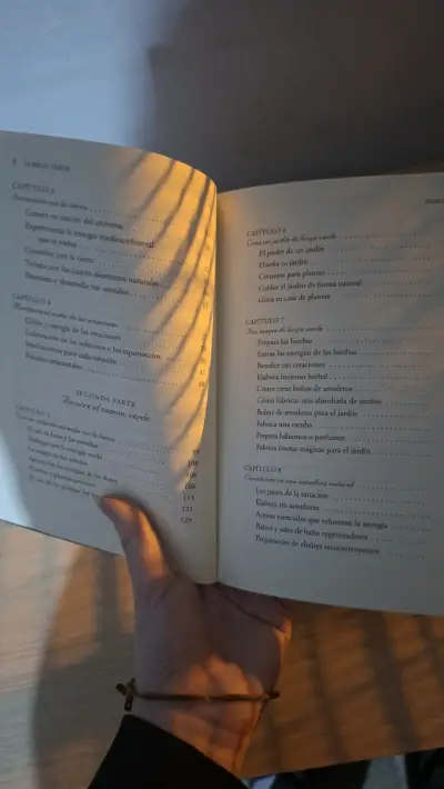 Libro La Bruja Verde - miniatura 3