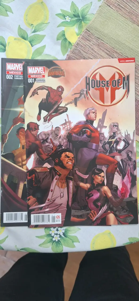 Comics House of M Marvel