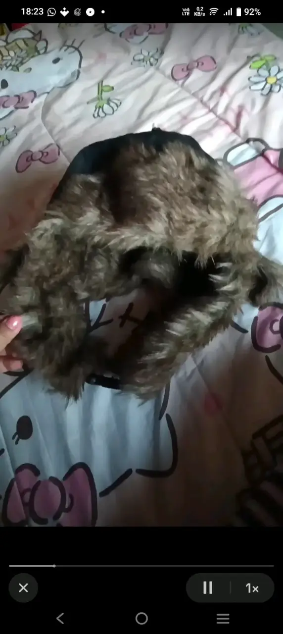 Gorro con orejeras, tipo Russo. - 1