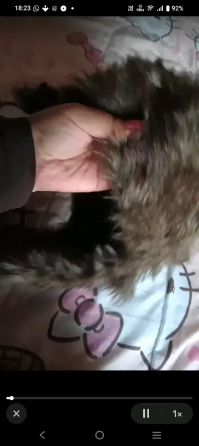 Gorro con orejeras, tipo Russo. - miniatura 2