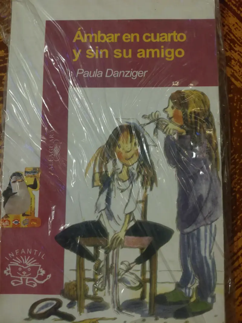 Libro Ámbar en cuarto y sin su amigo