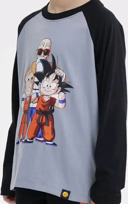Polera de marga larga gris Dragon Ball Z talla 10 - 2