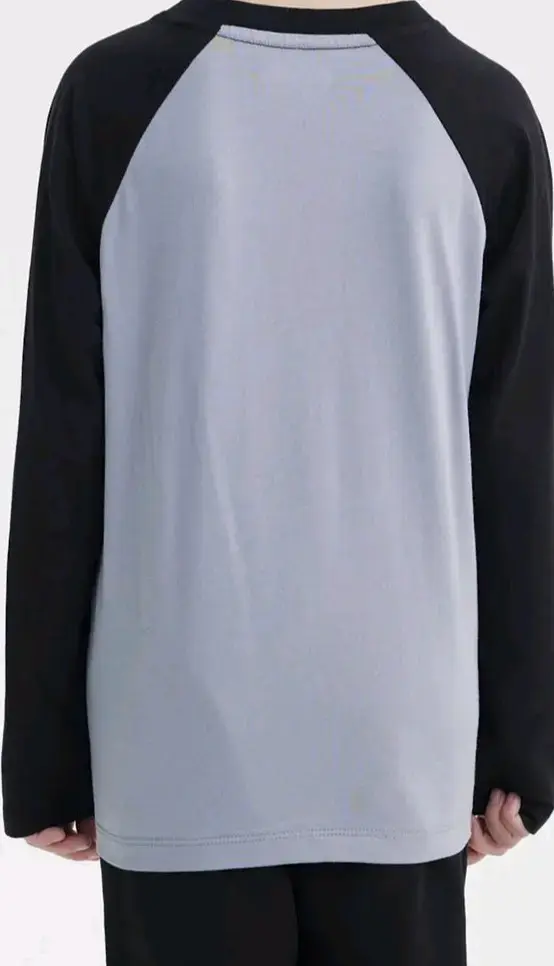 Polera de marga larga gris Dragon Ball Z talla 10 - 3