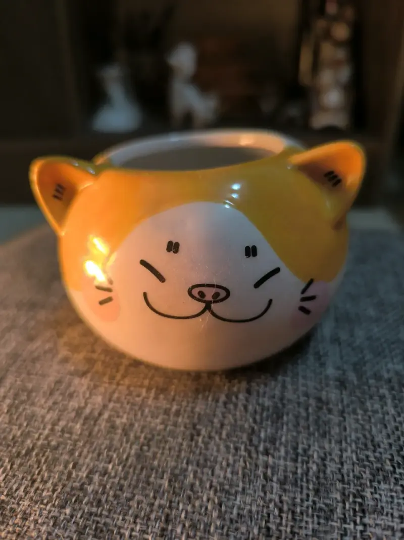 Macetas de gatitos cerámicos - 3