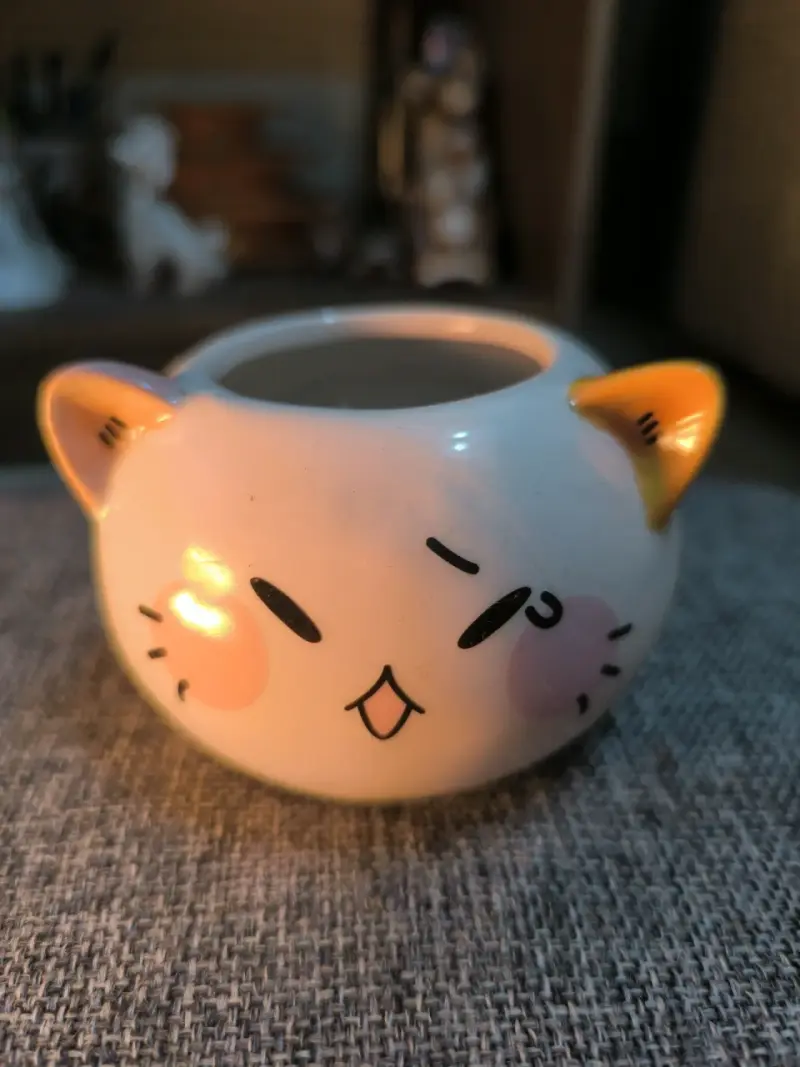 Macetas con diseño de gato - 2