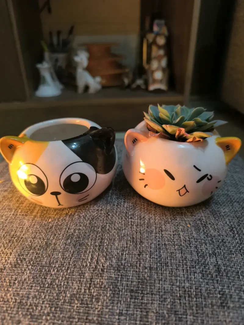 Macetas con diseño de gato - 3