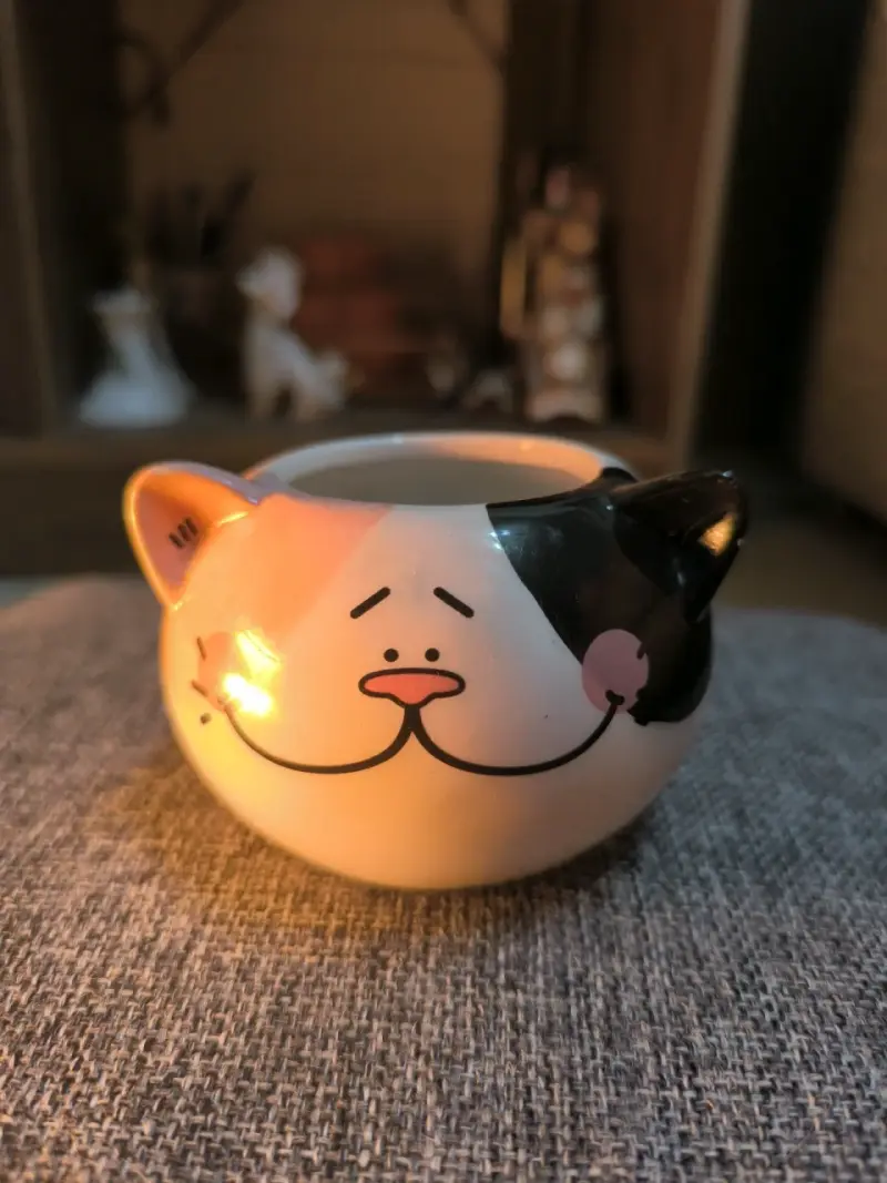Maceteros cerámicos de gatitos - 4