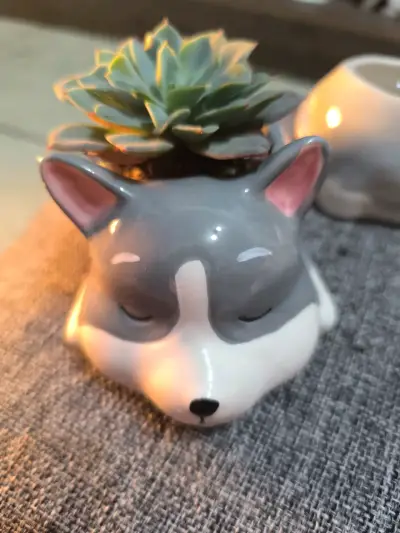 Maceteros cerámica animales - miniatura 3