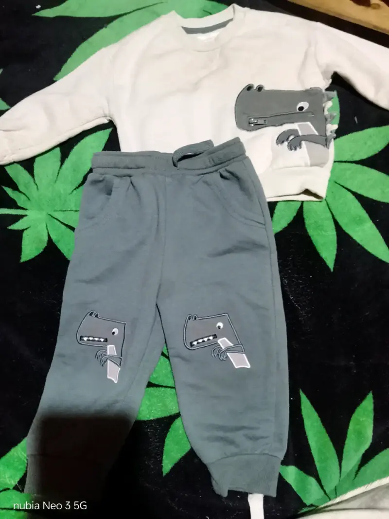 Conjunto infantil dinosaurio - 1