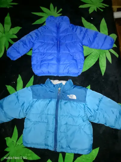 Conjunto infantil dinosaurio - miniatura 3