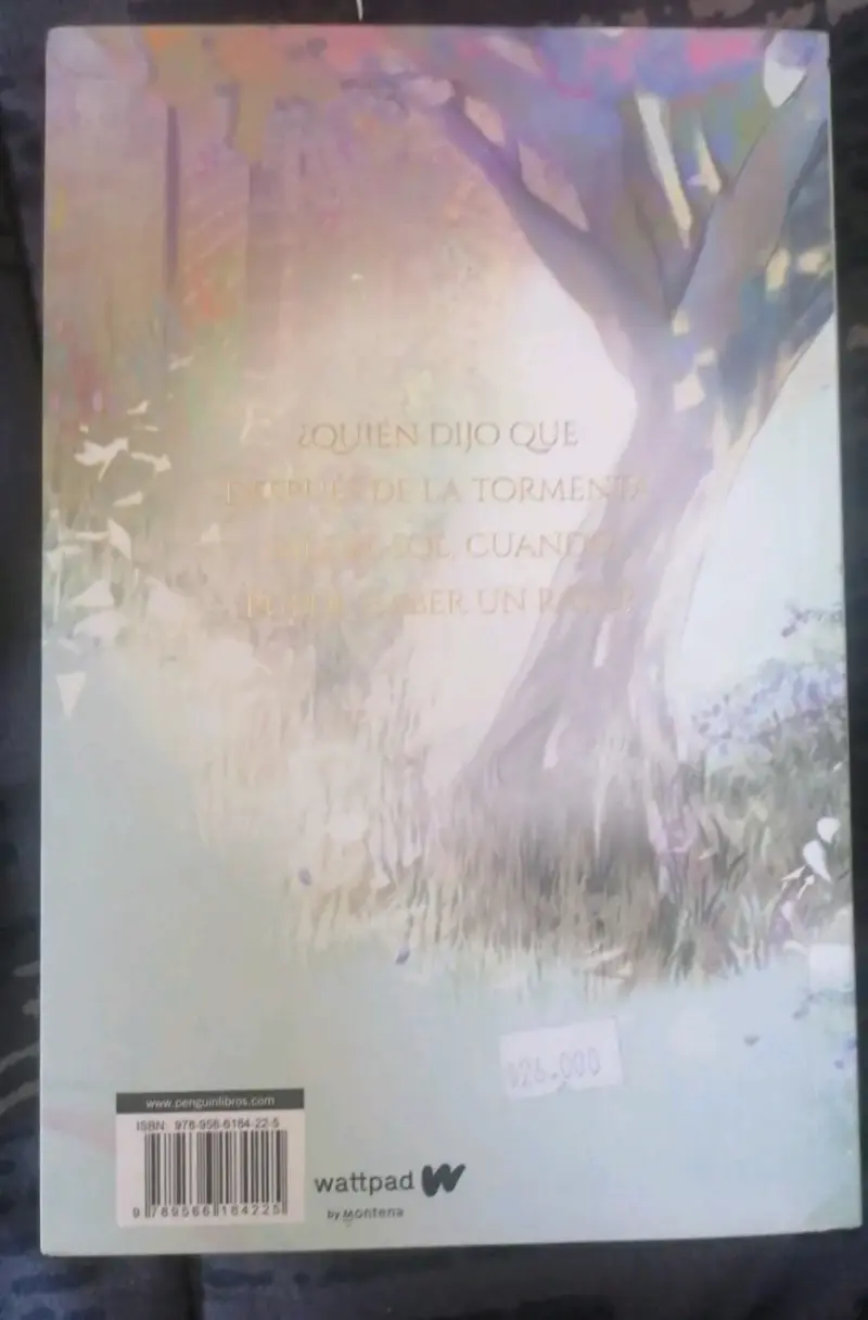 Boulevard de Flor M. Salvador - 2
