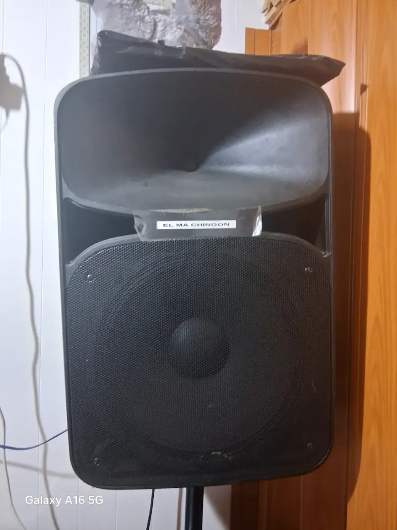 Parlante amplificado grande