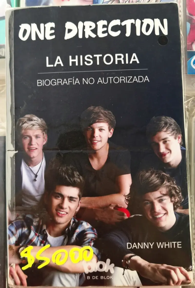 Libro biografía no autorizada One Direction