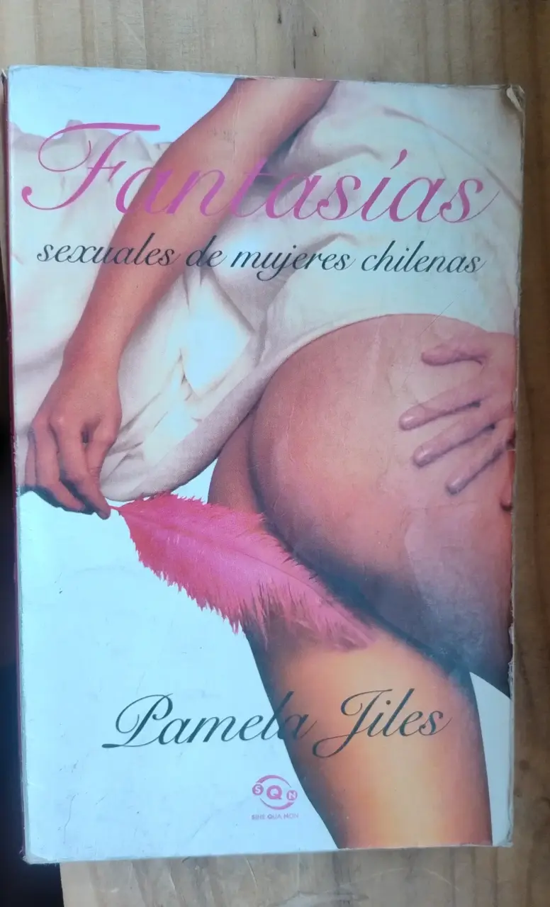 Fantasías sexuales chilenas