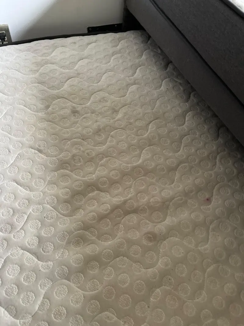 Cama nido con colchones - 5