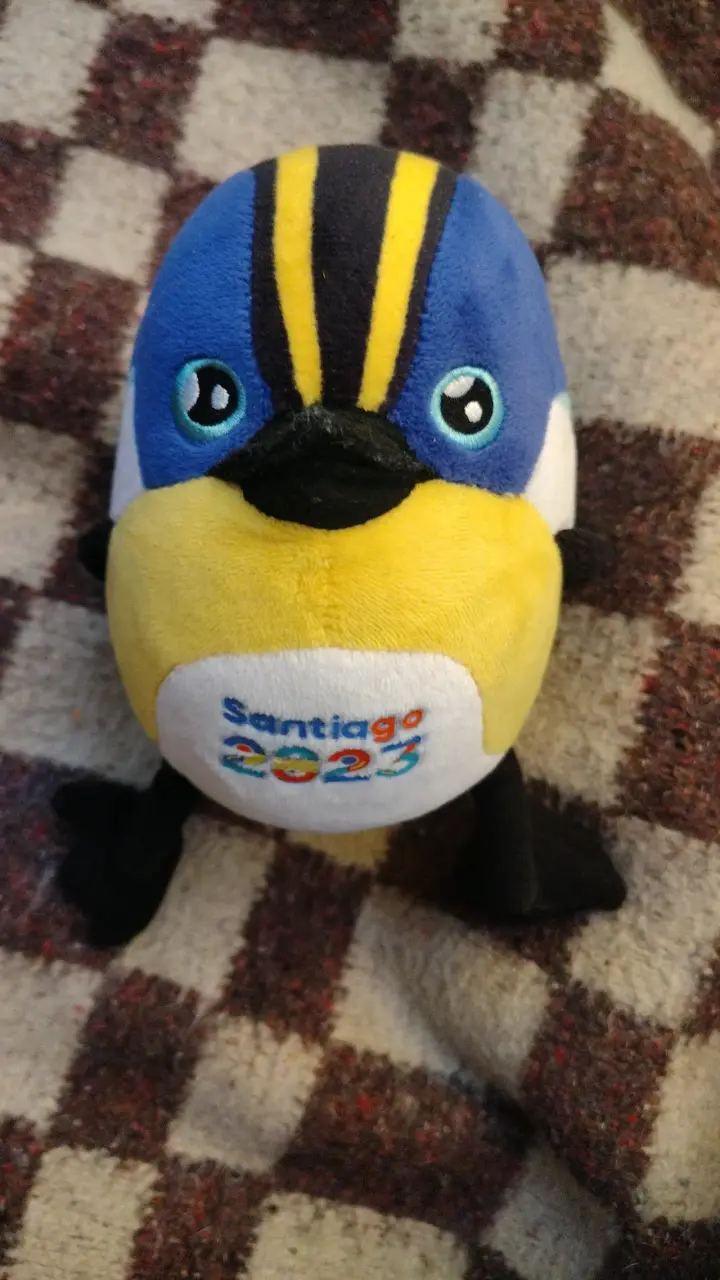 Peluche Santiago 2023 - 1