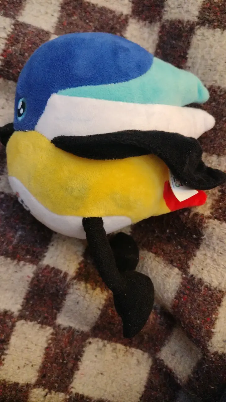 Peluche Santiago 2023 - 2