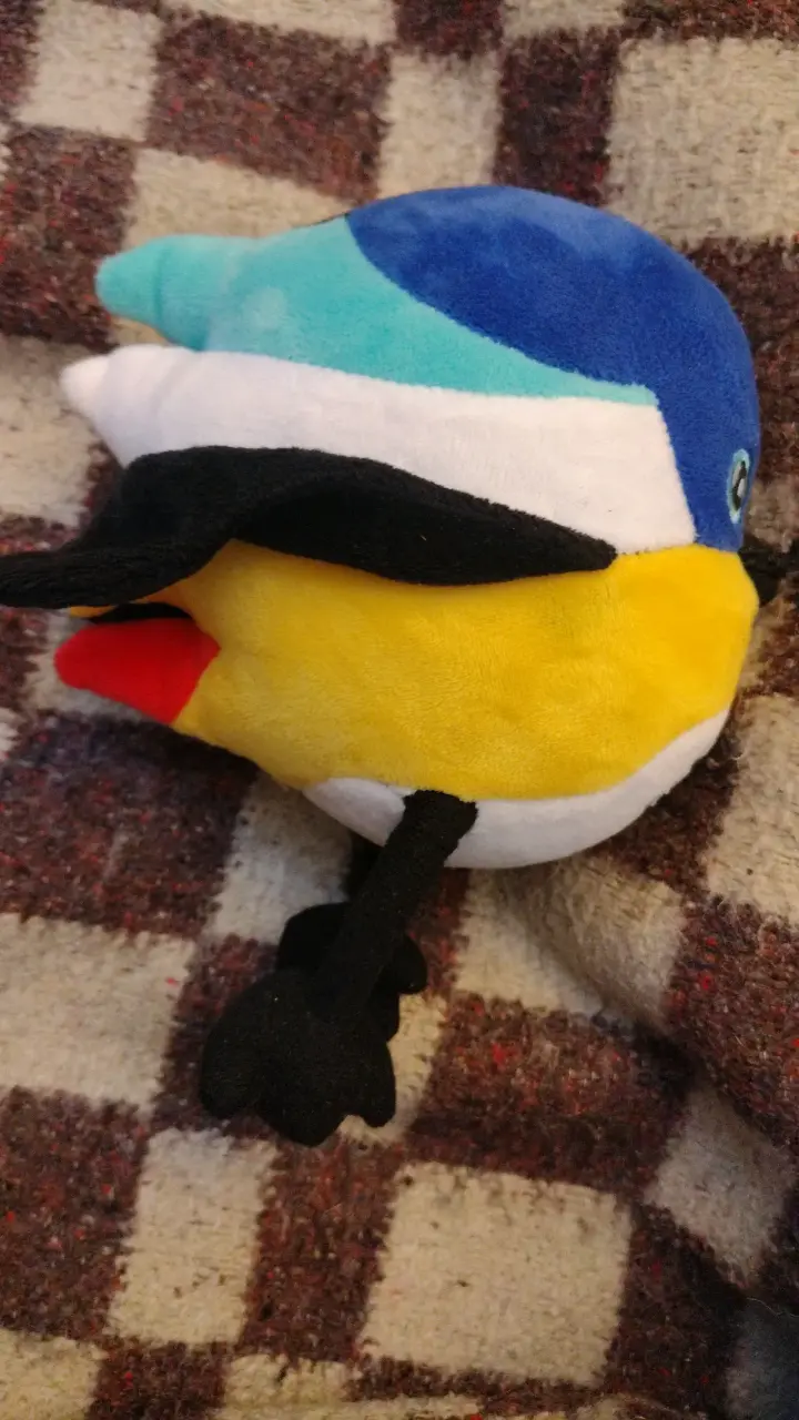 Peluche Santiago 2023 - 3