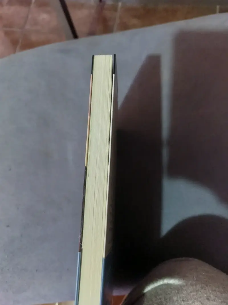 Libro Pilar Quintana 'Los Abismos' - 3