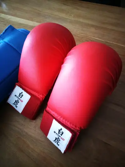 Equipo de protección para artes marciales - miniatura 2