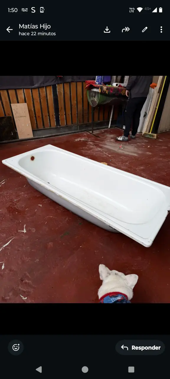 Tina blanca de baño - 1
