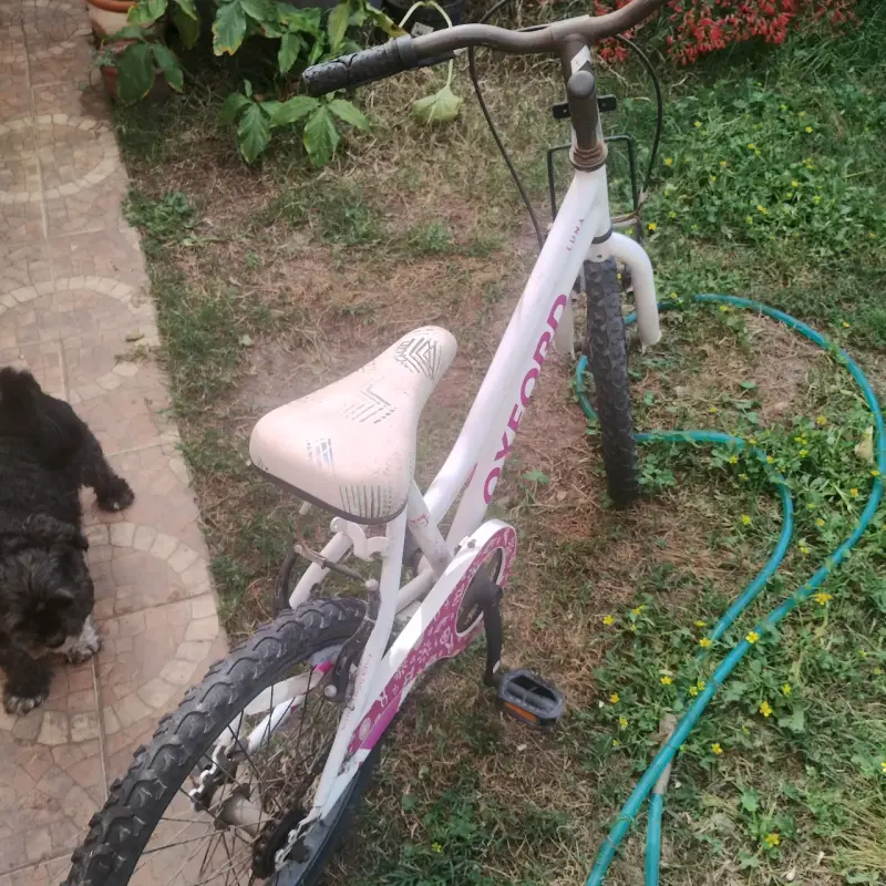 Bicicleta infantil Oxford blanca - 2