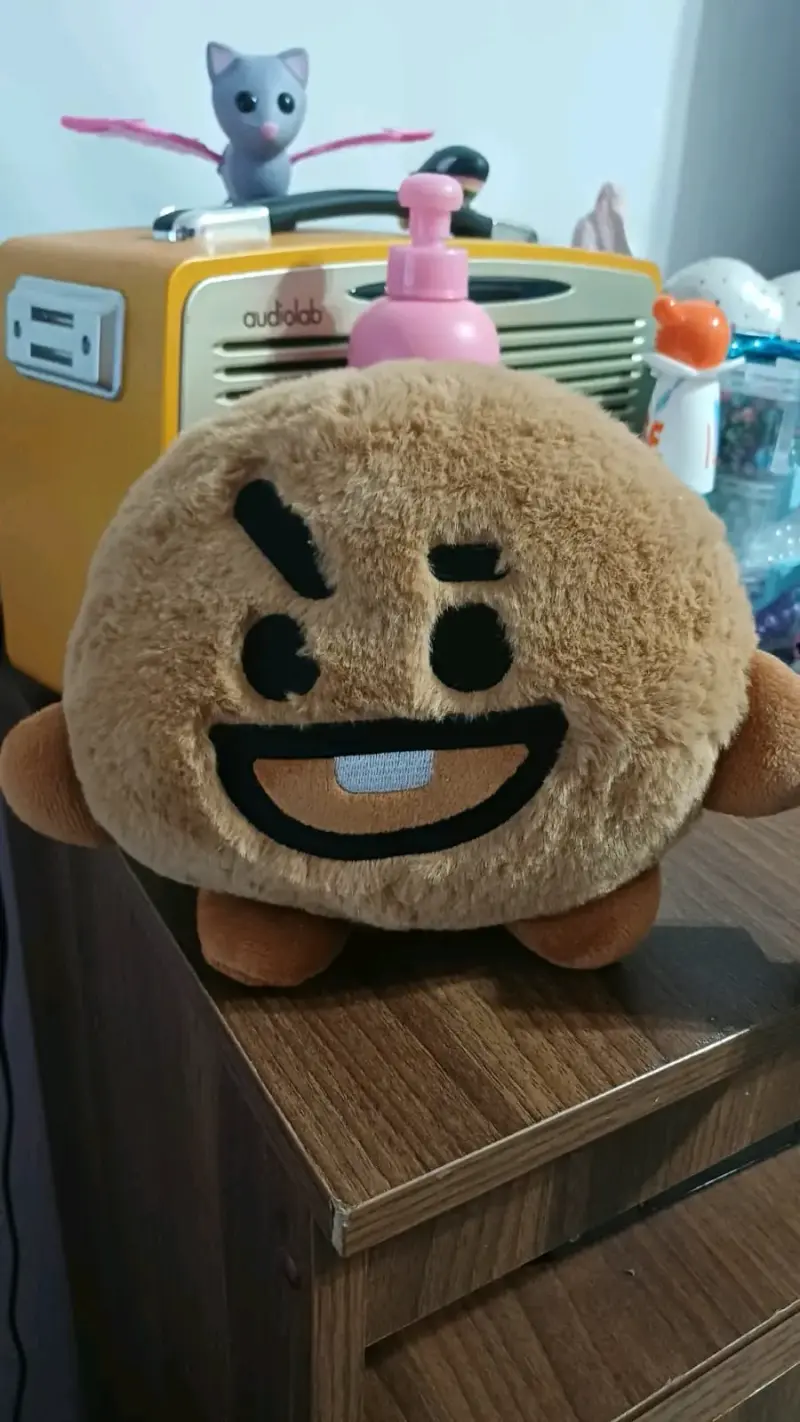 Peluche BT21 SHOOKY Palm Pals Miniso
