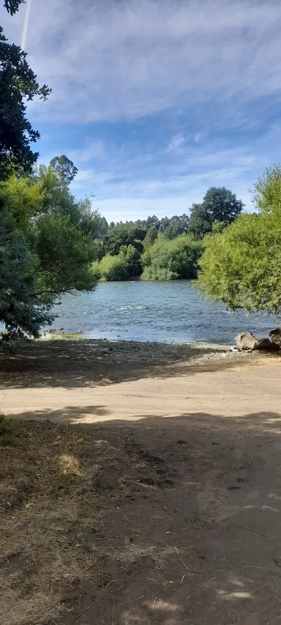Parcela en la araucania - 3