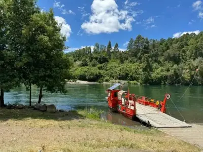 Parcela en la araucania - miniatura 5
