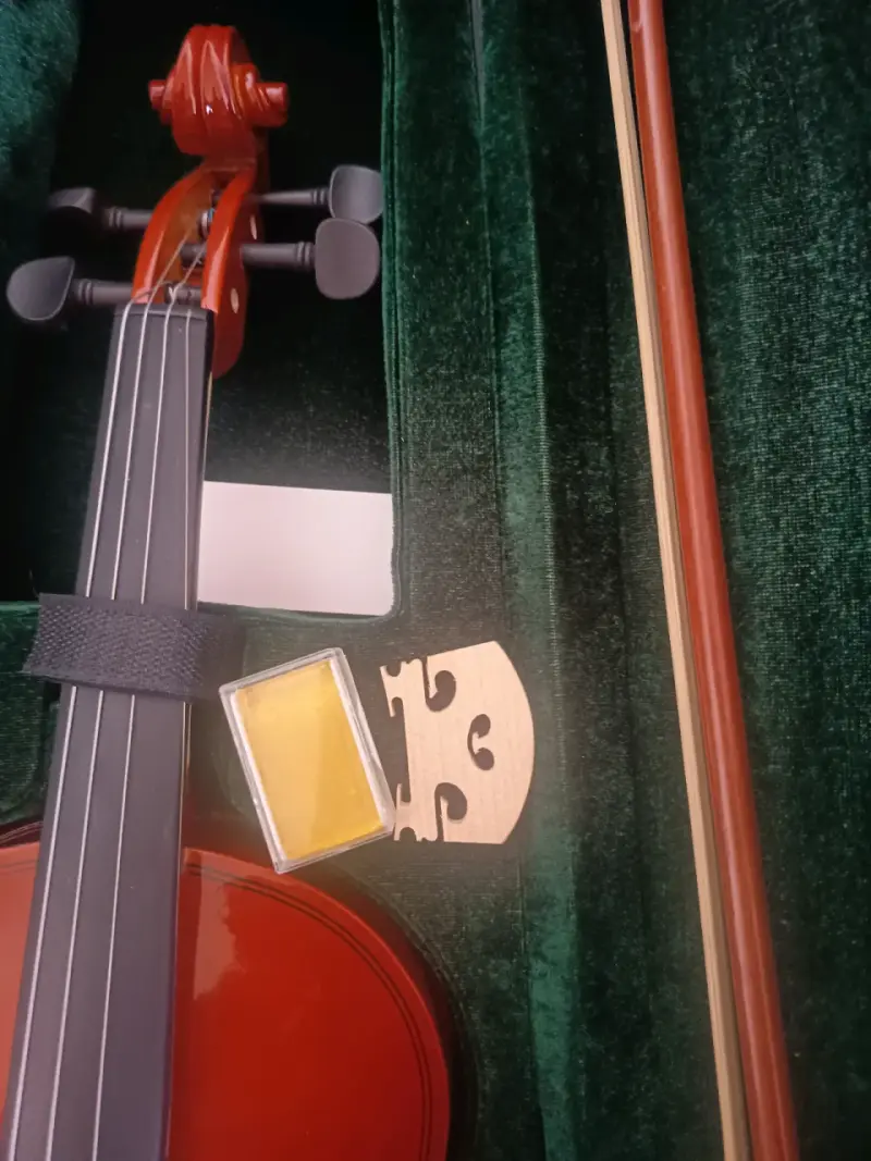 Violín con estuche incluido - 2