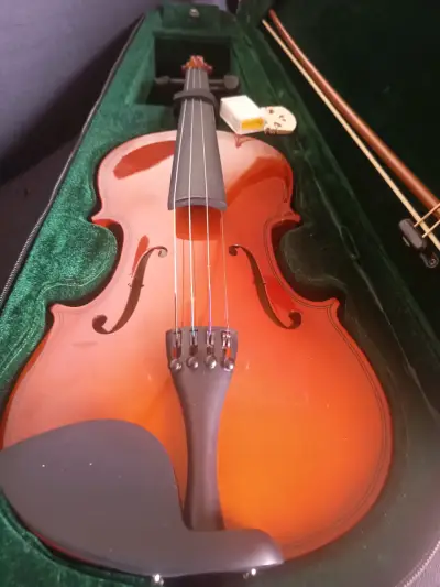 Violín con estuche incluido - miniatura 3