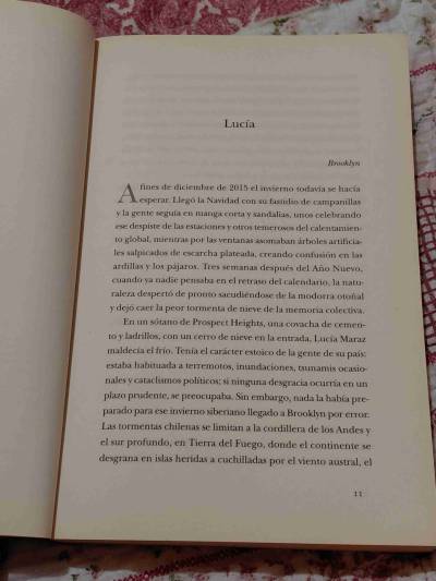 Libro 'Más allá del invierno' - miniatura 3