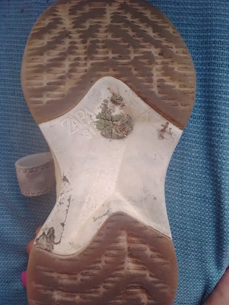 Zapatos saras - 2