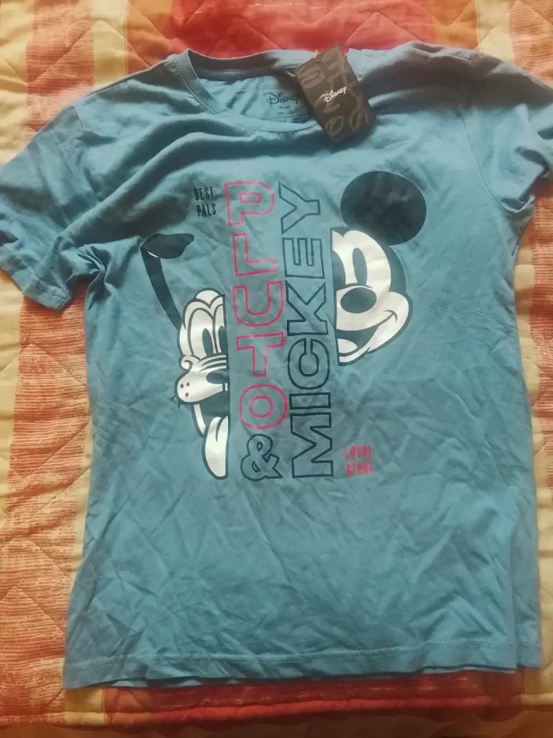 Polera Disney Pluto y Mickey azul - 1