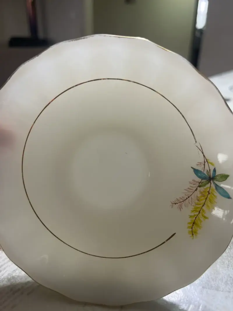 Plato de porcelana decorativo - 1