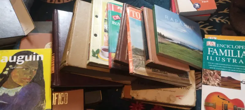 REBAJA LOTE DE LIBROS - 5