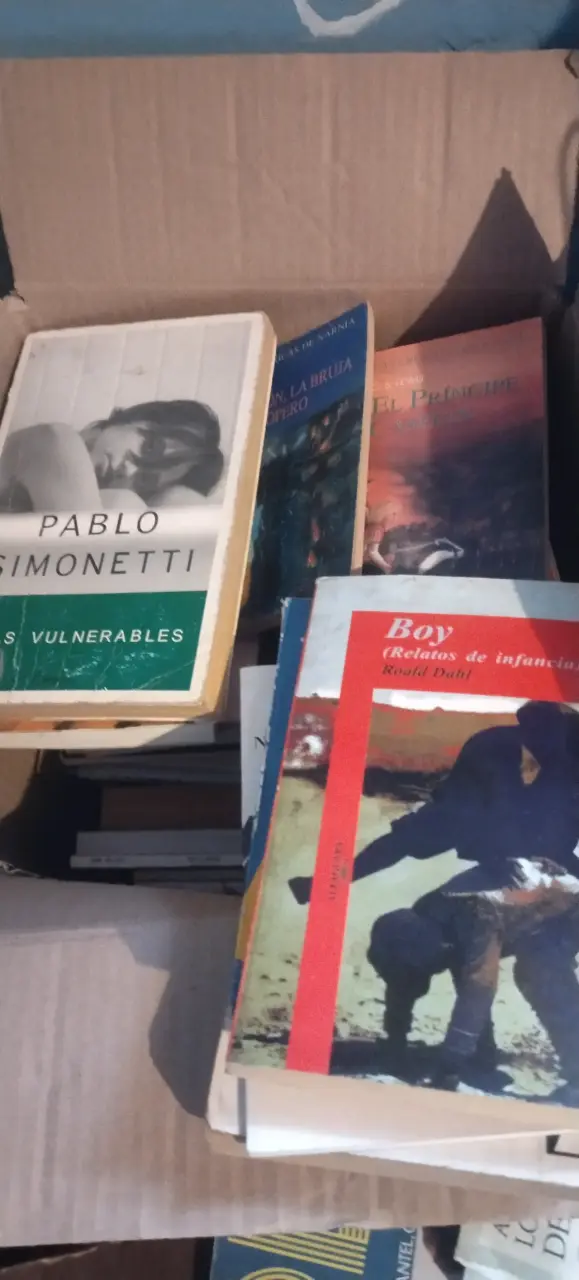 REBAJA LOTE DE LIBROS - 6