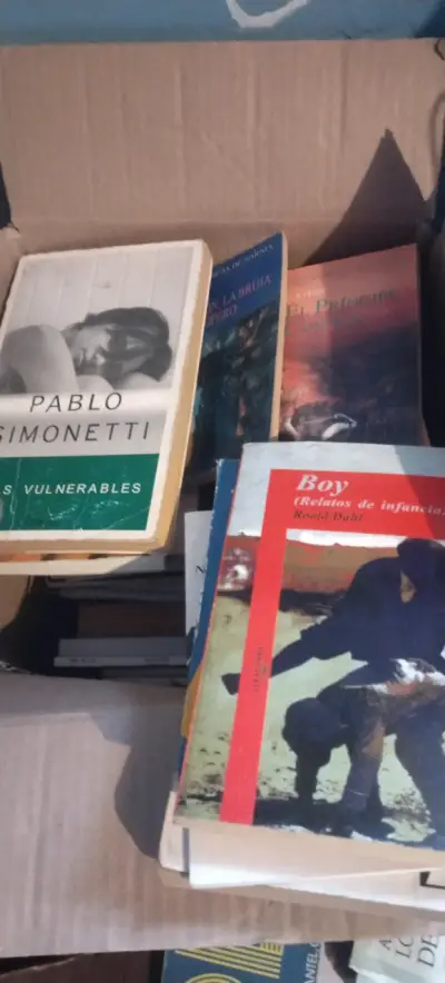 REBAJA LOTE DE LIBROS - miniatura 6