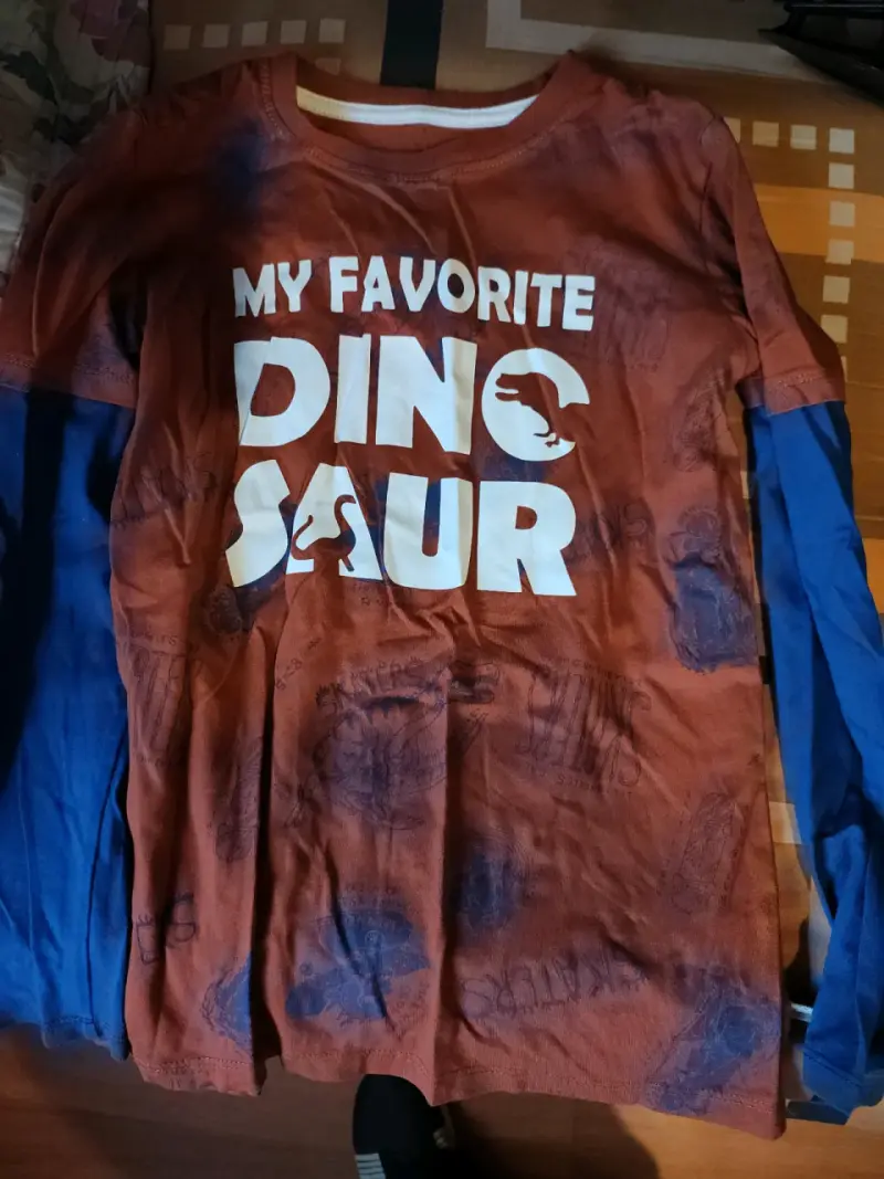 Polera manga larga dinosaurio