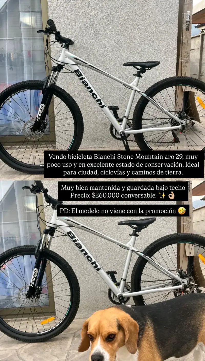 Bicicleta Bianchi Stone Mountain - 1