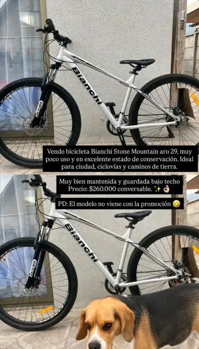 Bicicleta Bianchi Stone Mountain - miniatura 1
