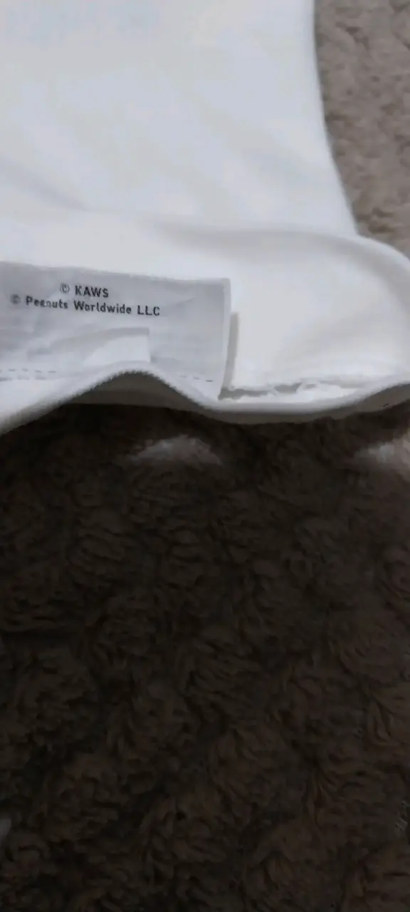 Polera Kaws x peanut (snoopy) - 5