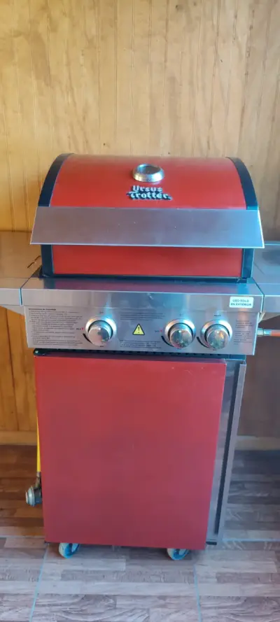 Parrilla a gas - miniatura 1