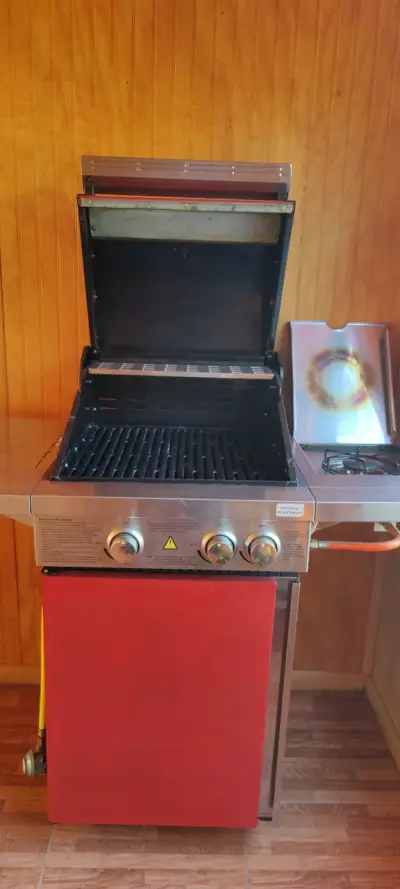 Parrilla a gas - miniatura 6