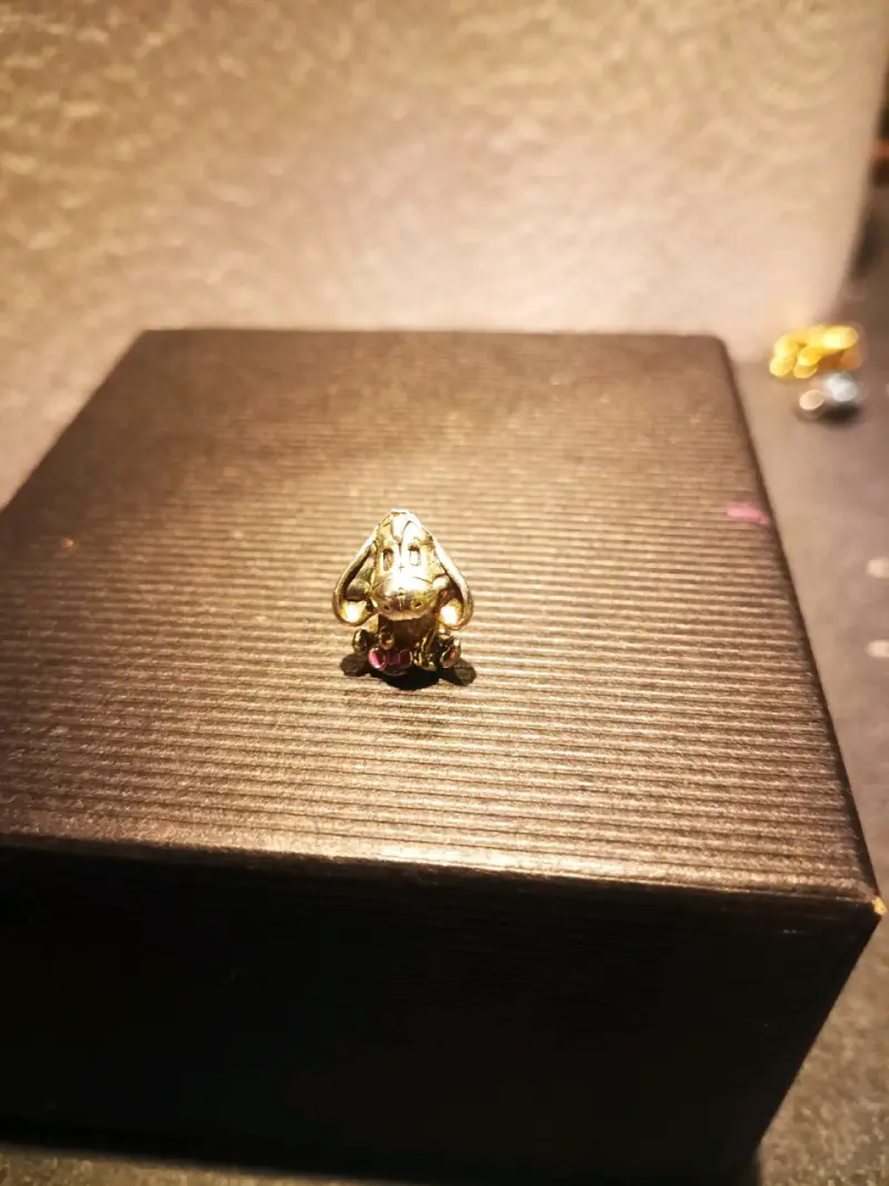 Charms burro