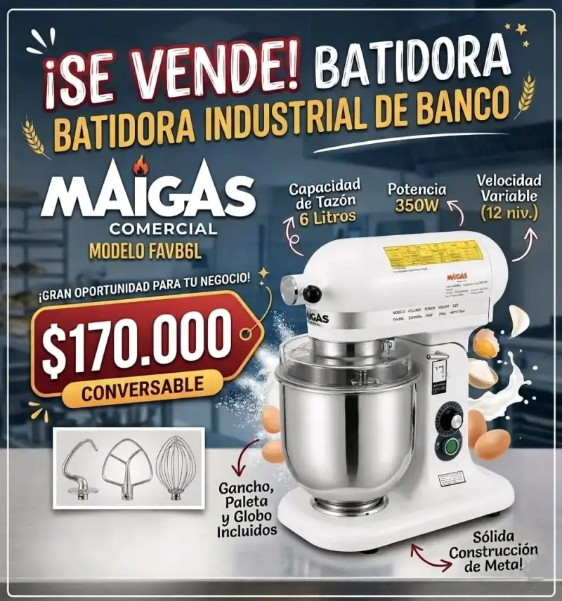 Batidora industrial MAIGAS 6L