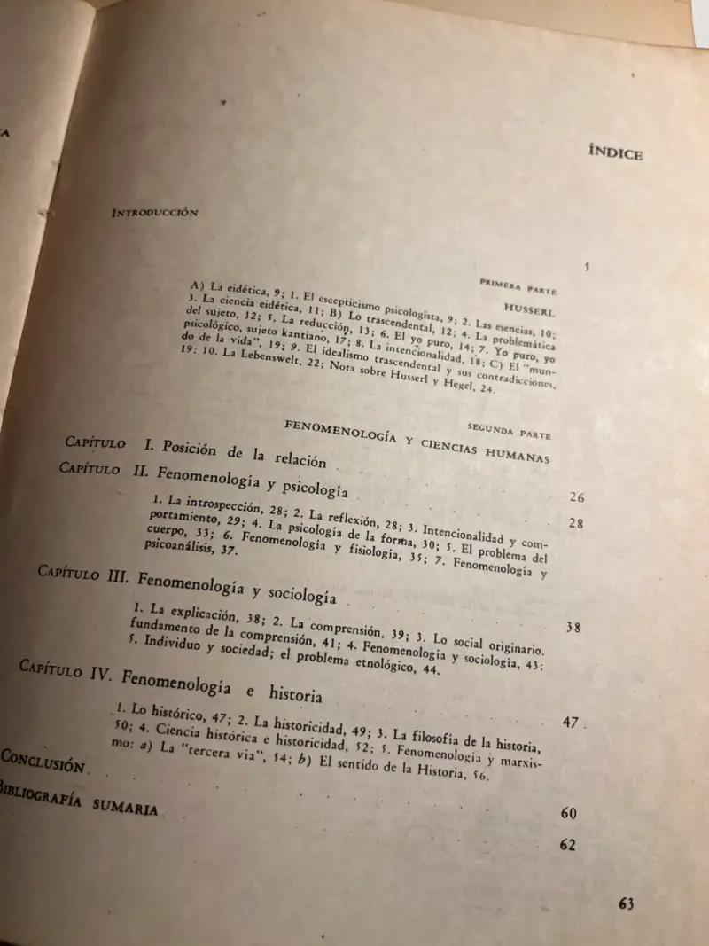 Libro La Fenomenología de J.F. Lyotard - 5