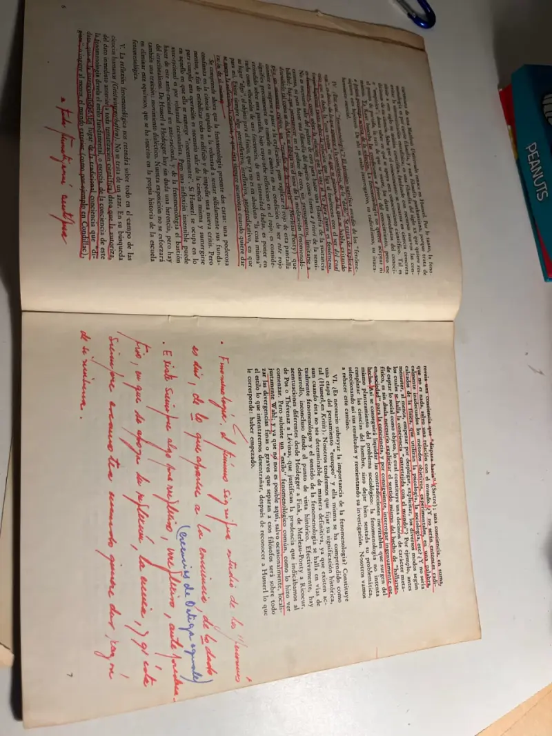 Libro La Fenomenología de J.F. Lyotard - 6