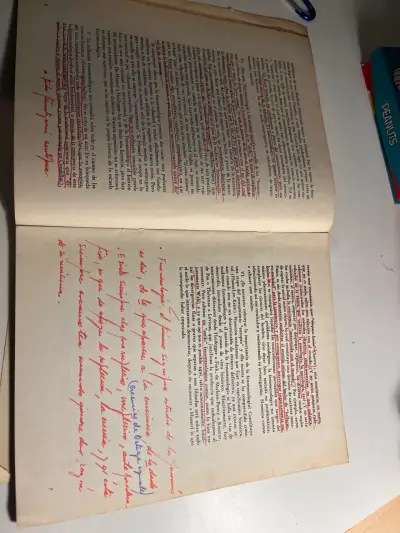 Libro La Fenomenología de J.F. Lyotard - miniatura 6